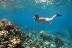Traveler snorkeling in the clear waters around Kelor Island