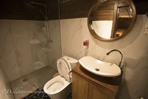 Ensuite bathroom in a lower deck cabin aboard Neomi Cruise