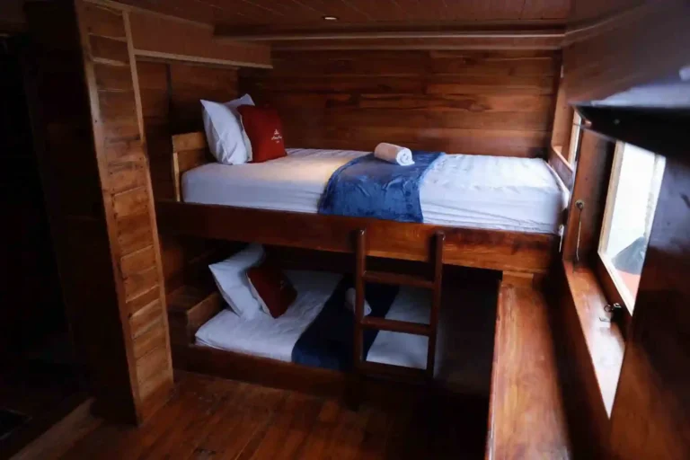 Sharing cabin on Aimar Cruise with four single bunk beds, sold by the berth