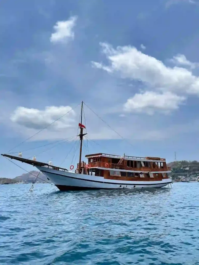 Aimar Cruise under way at seven to eight knots in Komodo National Park