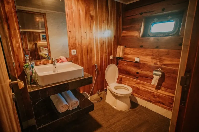 Lower deck cabin bathroom aboard Alore