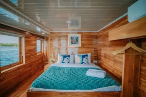 Upper deck cabin 3 aboard Alore