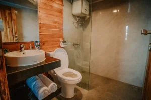 Private bathroom of upper deck cabin 3 aboard Alore