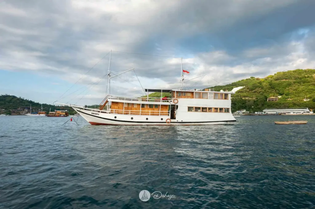 Dahayu phinisi exterior in Komodo National Park