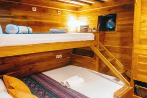 Avicennia deluxe cabin aboard EcoXplorer