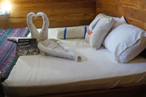 Myristica deluxe cabin for three aboard EcoXplorer