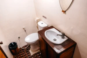 Wallacei Standard Cabin ensuite bathroom on EcoXplorer