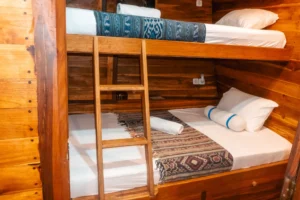 Wallacei Standard Cabin twin bunks on EcoXplorer