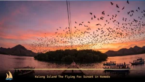 Flying foxes streaming over Kalong Island at sunset with boats anchored nearby
