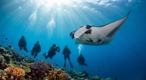 Scuba divers watching a giant oceanic manta ray swimming over a colorful coral reef with sunbeams during a Komodo diving trip.