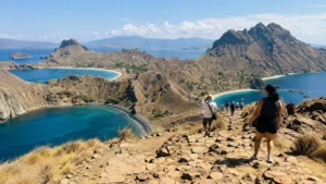 View of the Komodo Islands from a viewpoint during a Lombok to Komodo trip