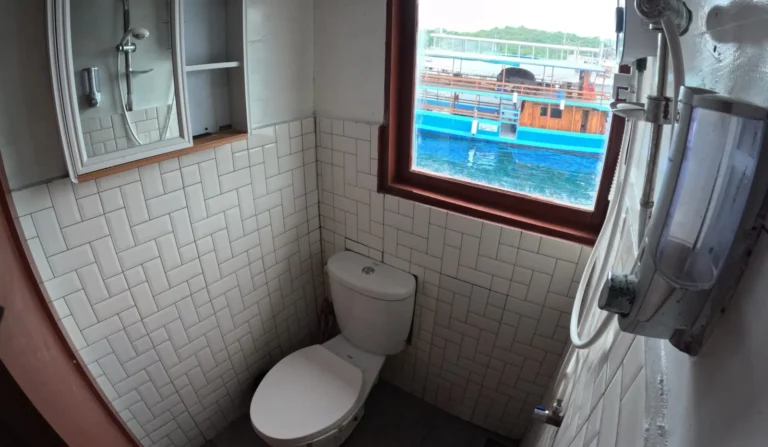 Ensuite bathroom of a Grand Deluxe cabin aboard Lady Grace