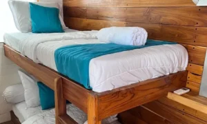 Superior bunk cabin aboard Lady Grace