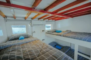 Second view of a shared bunk cabin aboard Lamborajo I