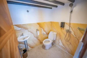 Ensuite bathroom for a Master Ocean View cabin on Lamborajo 2