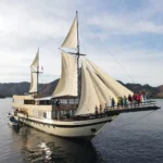Lamborajo 3 phinisi under sail in Komodo National Park