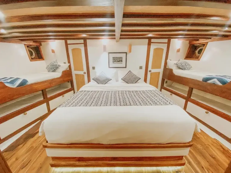 Mola-Mola VIP cabin aboard Magia II