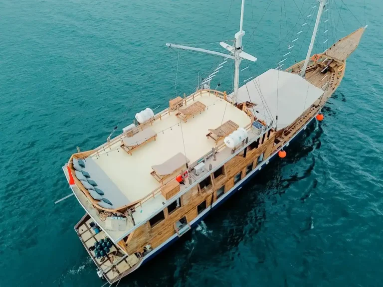 Aerial view of Maipa Deapati and its decks