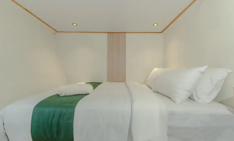 Superior cabin on Marea with a double bed, ensuite bathroom and air conditioning