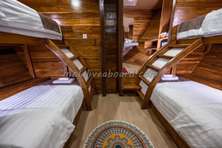 Mola Mola 2 lower-deck four-berth bunk cabin