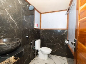 Azure cabin ensuite bathroom aboard Naturalia Cruise