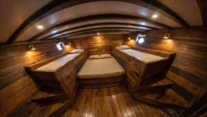 Tide Cabin aboard Naturalia Cruise