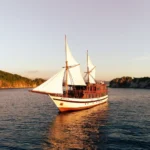 Neptune Cruise, a 40-metre Buginese schooner, under way in Komodo National Park