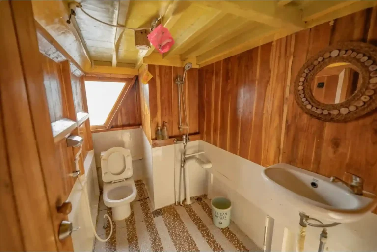 Private bathroom in the Master Ocean Cabin aboard NK Jaya 2