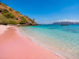 Pink Beach with turquoise water in Komodo National Park