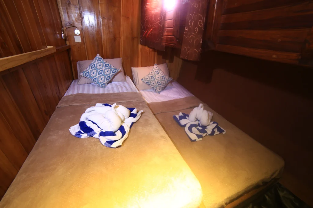 Twin cabin with two single beds aboard Queenesia I