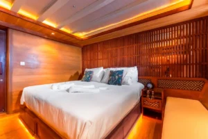 Sanctuary Junior Suite Seahorse and Turtle cabin interior