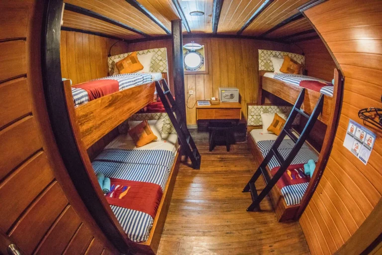 Wide view of the four-guest bunk cabin aboard Sea Safari 8