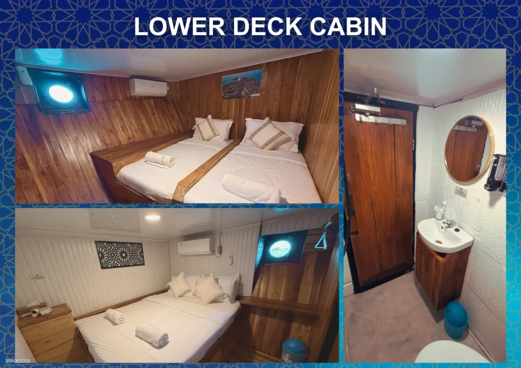 Lower deck double and twin cabins with ensuite bathroom aboard Seamore Papua