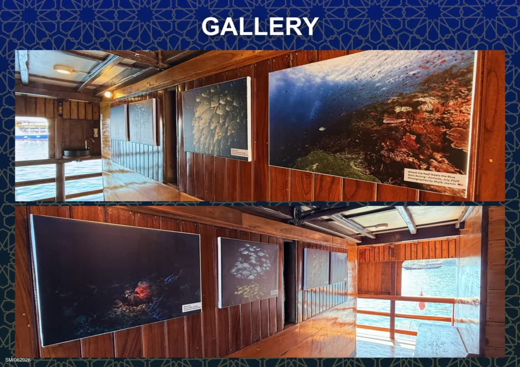 Onboard gallery and entertainment area aboard Seamore Papua