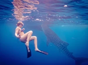 Free diver swimming gracefully alongside a majestic whale shark in clear blue waters, an epic highlight for a day trip