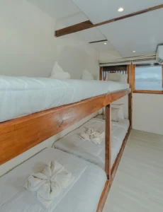 Upper-deck sharing cabin aboard Sora phinisi with single bunk beds