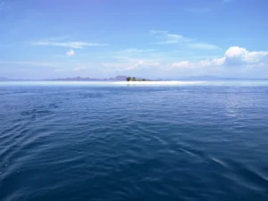 Shallow reef flat and clear water surrounding the Taka Makassar sandbar