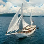Teman phinisi sailing in Indonesia
