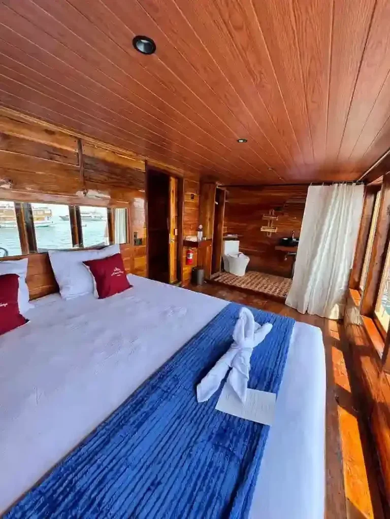 Aimar Cruise deluxe cabin with a double bed, blue runner and towel swan in a wood-panelled room