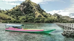 Apotek Surya Agung Labuan Bajo service place photo