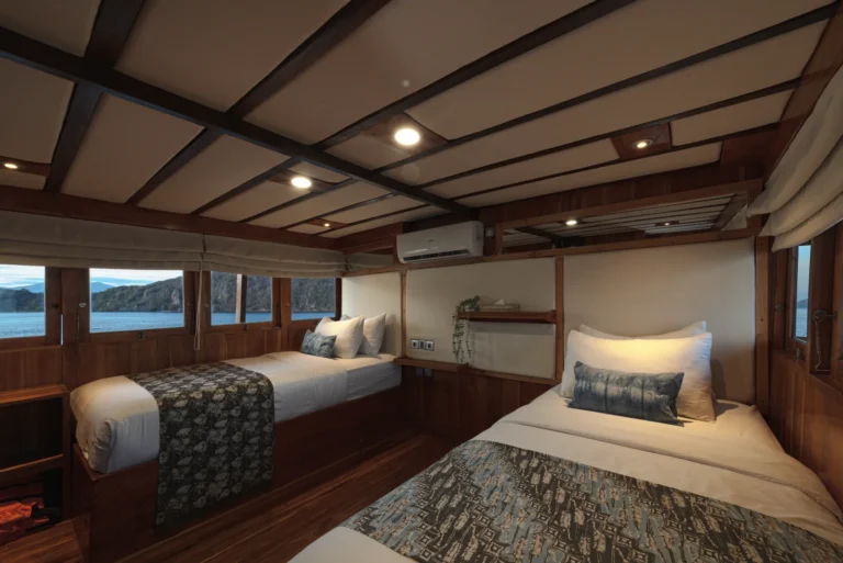Twin cabin with separate beds and sea views aboard Augustine