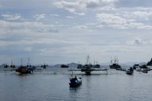 A bunch of boats near Labuan Bajo Harbor, Indonesia.