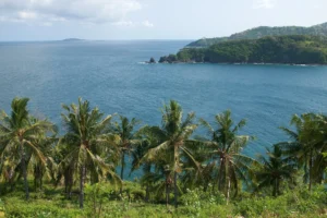 Bay. Tropical palm trees. Lombok, Indonesia.