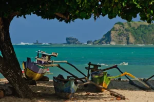 Wooden outrigger canoes under a shady tree on a Lombok beach with a headland beyond
