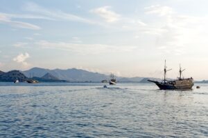 Secondary destination view of Komodo Island