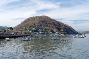 Natural landscape and wildlife view in the Komodo region