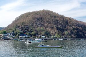 Natural landscape and wildlife view in the Komodo region