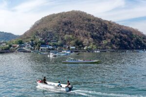 Natural landscape and wildlife view in the Komodo region