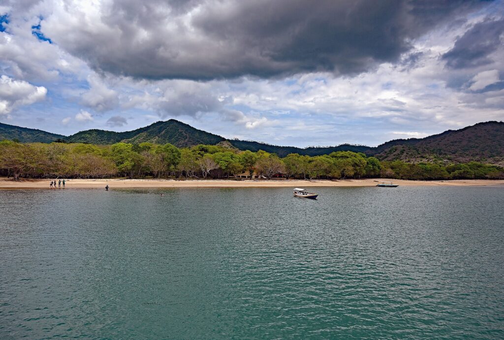 Natural landscape and wildlife view in the Komodo region