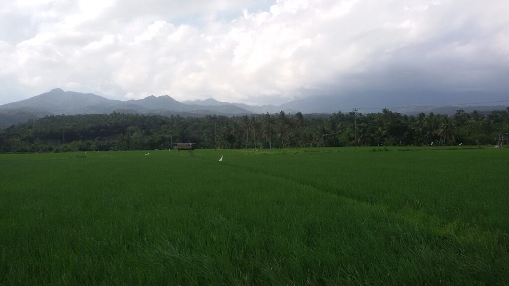 Natural landscape, coast and travel scenery on Lombok Island